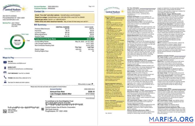 Realistic USA New York Central Hudson A fortis company utility bill, Word and PDF template, 3 pages 1 2